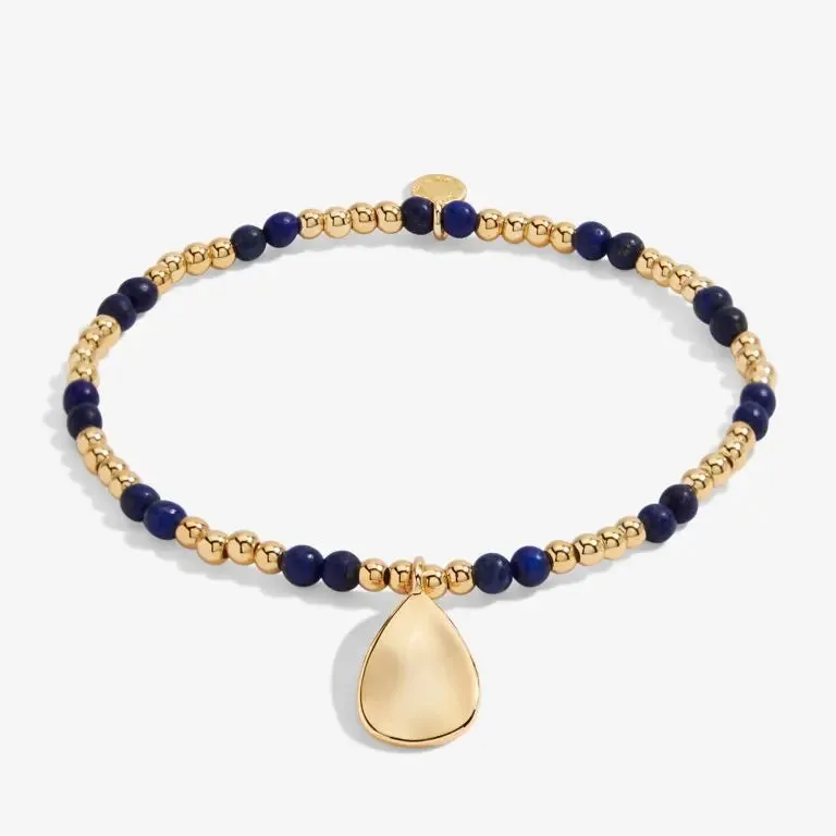 A Little Birthstone September Lapis Lazuli - Gold