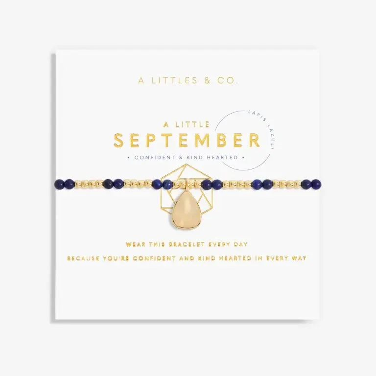 A Little Birthstone September Lapis Lazuli - Gold