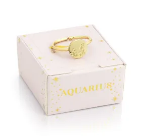 Aquarius Signet Ring