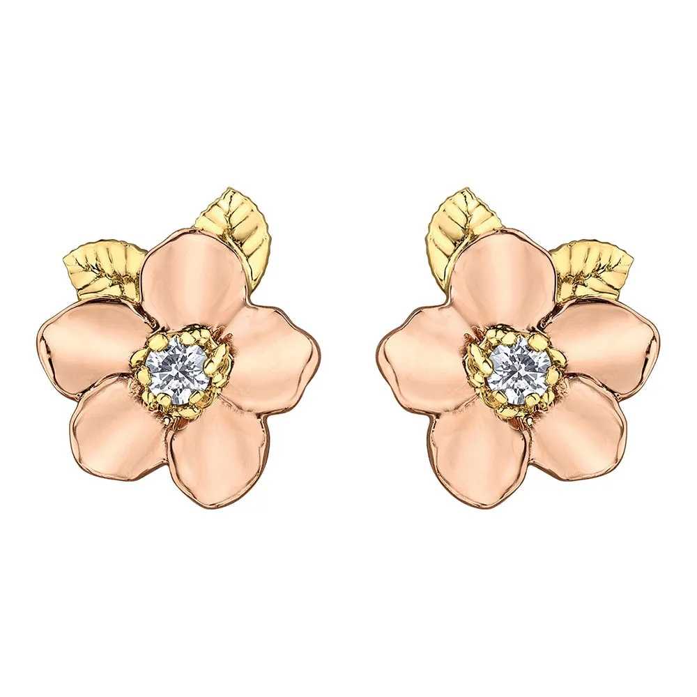 Canadian Diamond Wild Rose Stud Earrings