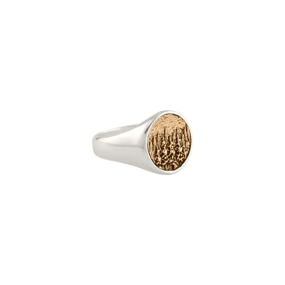 Elements Signet Ring - Treeline in Bronze