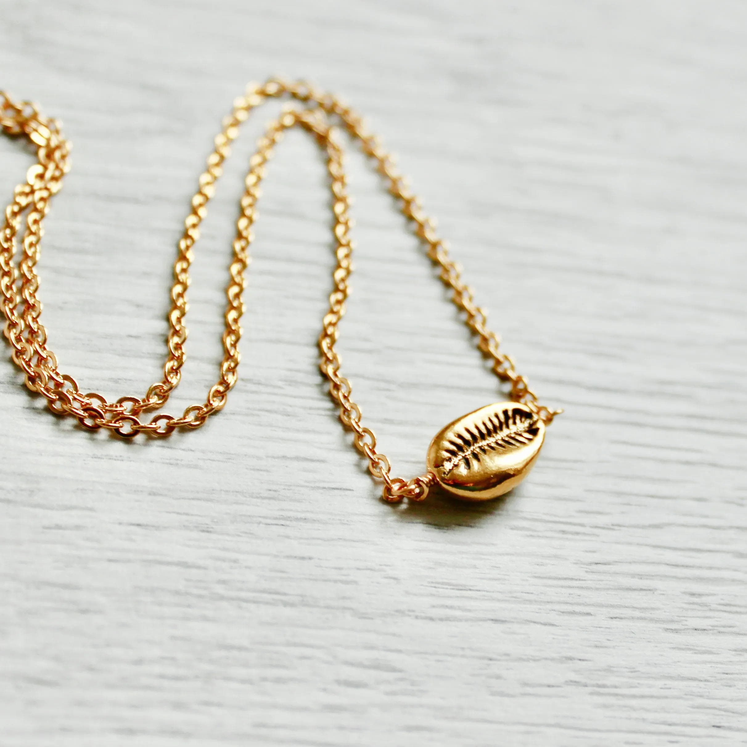 Groatie Buckie Cowrie Shell Necklace in Gold