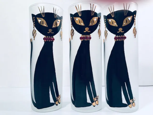 Maida Amour Hipster Siamese Cat Tall Collins Glasses (Set of 6)