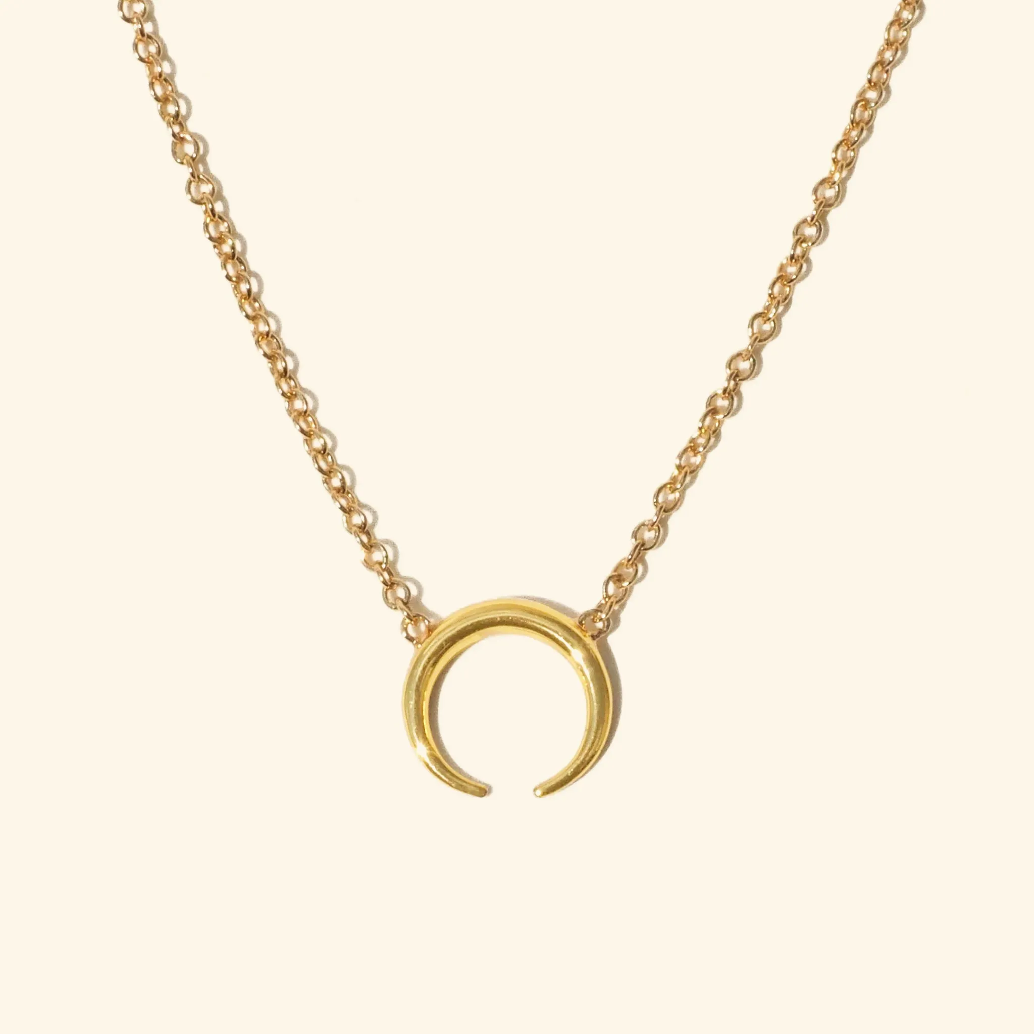 Mini Horn Necklace