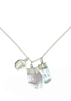 Tiger Frame Silver Aquamarine/Kunzite Charm Necklace