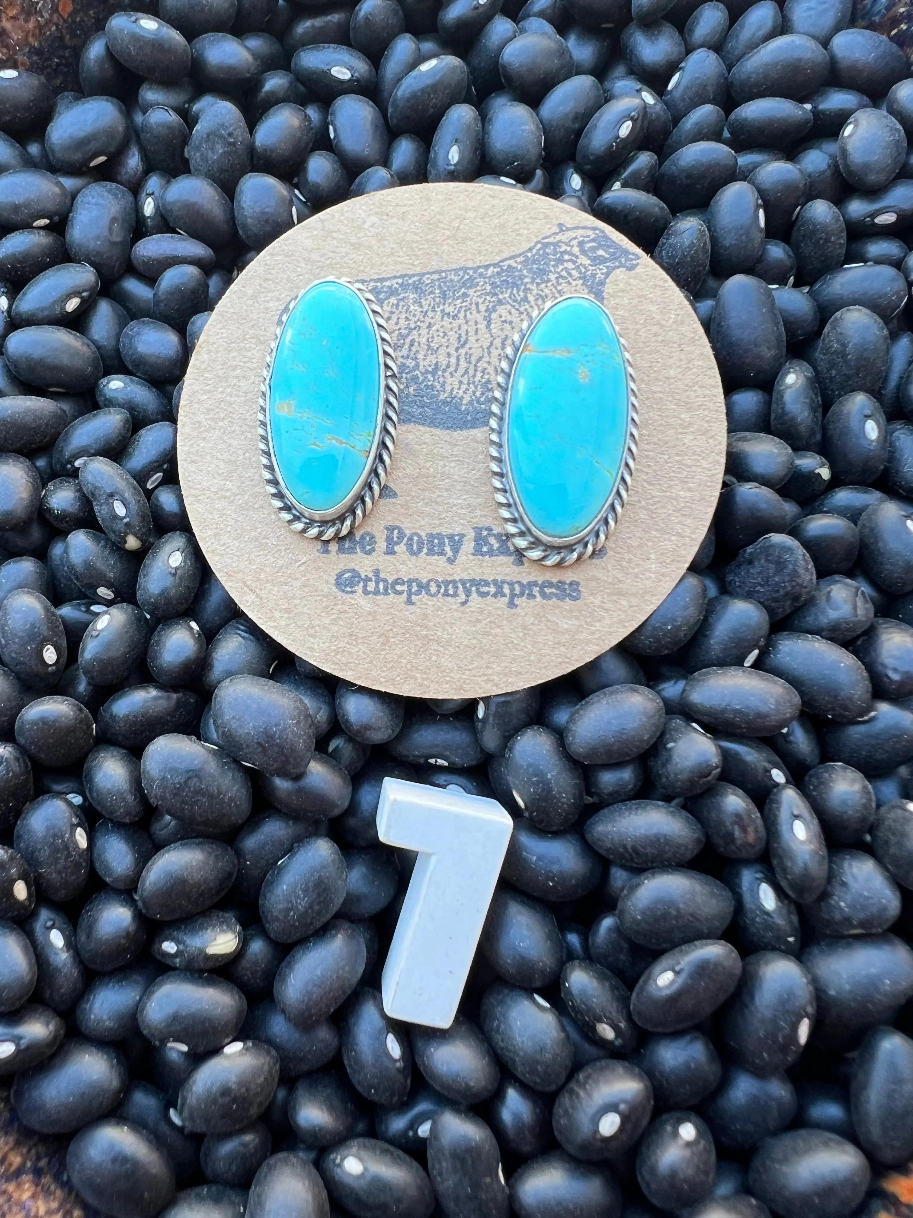 Turquoise Stud Earrings